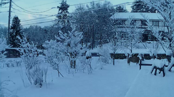 200115雪の庭.png